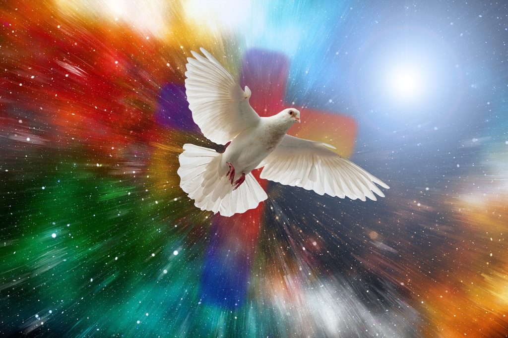 dove, universe, cross-5472118.jpg